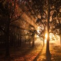 Seasons 