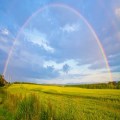 Suffering And Hope 
