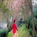 Our Walk With God