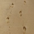 Keeping In Step