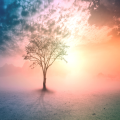 The Tree Of Life